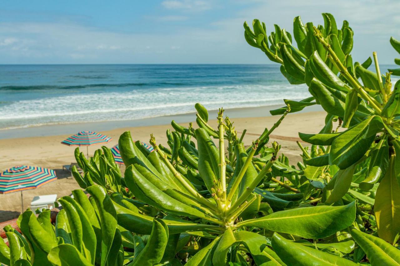 Marsai Hotel Boutique (Adults Only) Punta Mita Eksteriør billede